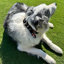 Load image into Gallery viewer, Smathers & Branson Swinging Pete Dog Collar